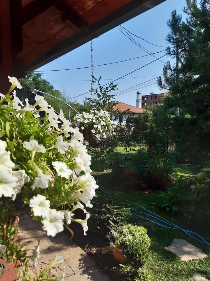 Natura Apartment Belgrad Zewnętrze zdjęcie