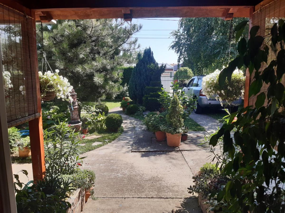 Natura Apartment Belgrad Zewnętrze zdjęcie