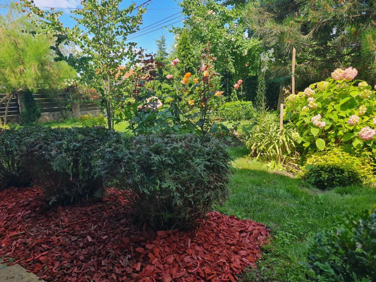 Natura Apartment Belgrad Zewnętrze zdjęcie