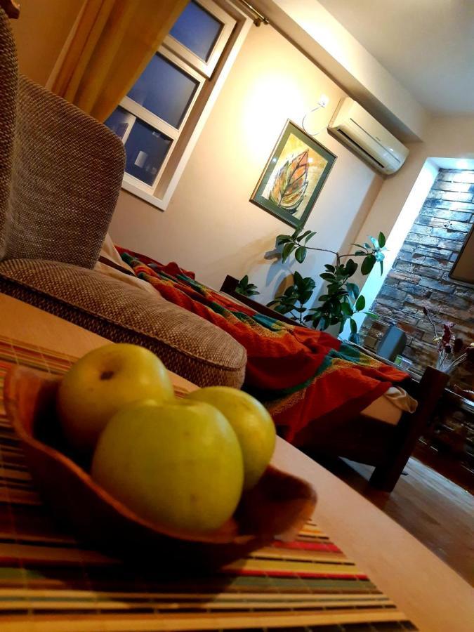 Natura Apartment Belgrad Zewnętrze zdjęcie